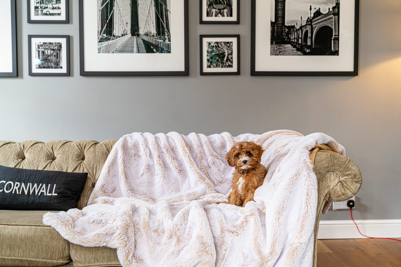 Oscar' Dog Blanket - Dudley & co